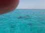 241KiteMania_El Gouna